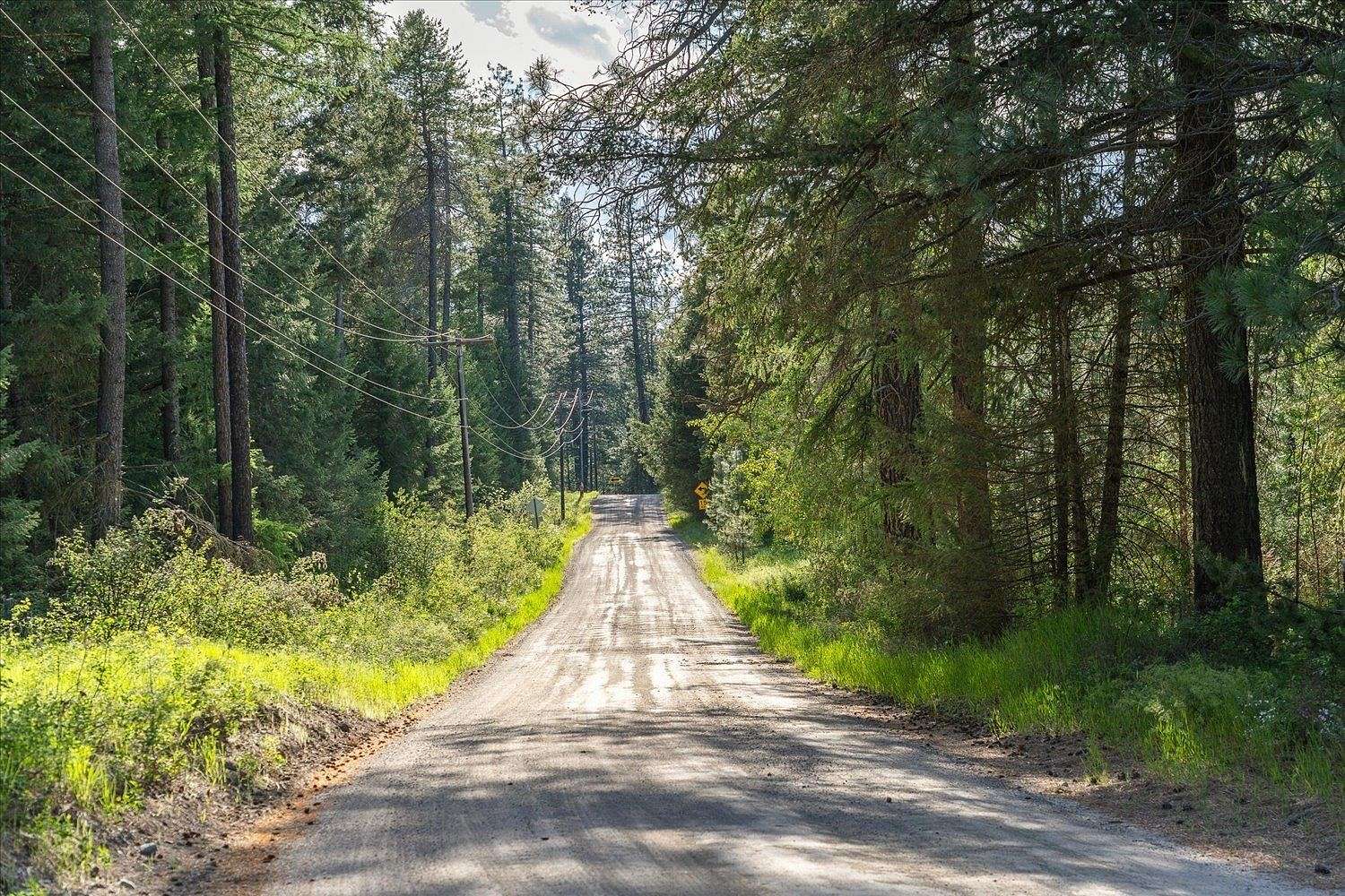 19.55 Acres of Land for Sale in Chattaroy, Washington
