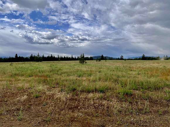 20 Acres of Land for Sale in Newport, Washington