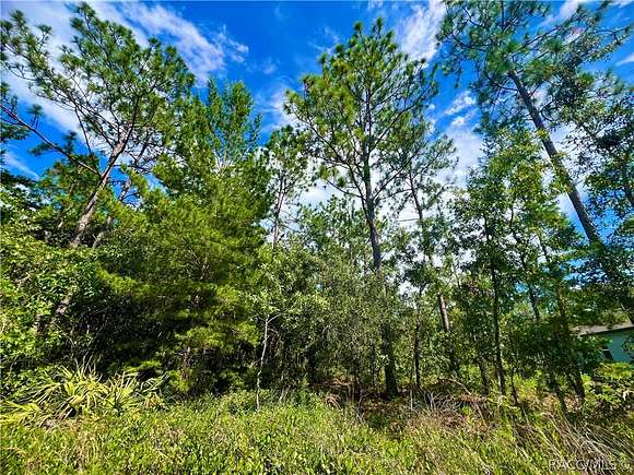 0.28 Acres of Residential Land for Sale in Homosassa, Florida