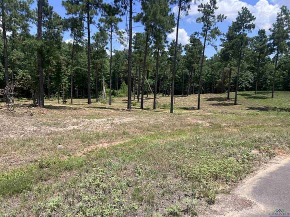 10.31 Acres of Land for Sale in Diana, Texas