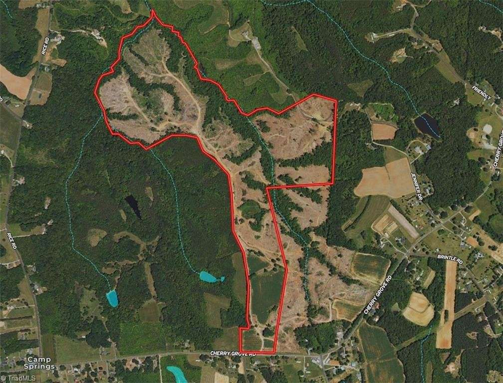 149 Acres of Land for Auction in Reidsville, North Carolina