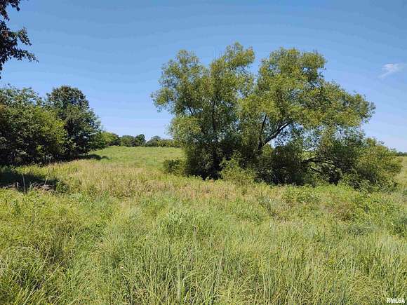 8.2 Acres of Residential Land for Sale in Grantsburg, Illinois