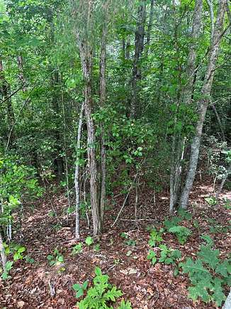 0.48 Acres of Land for Sale in Franklin, North Carolina