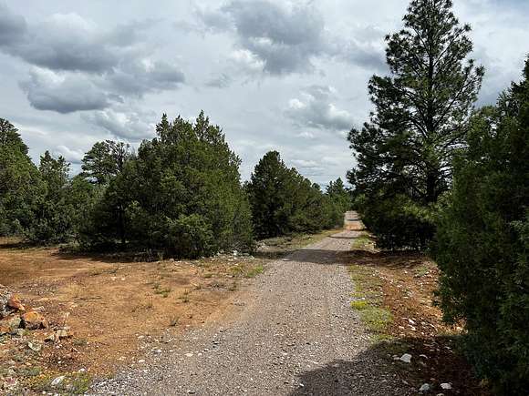 10.33 Acres of Recreational Land & Farm for Sale in Chama, New Mexico