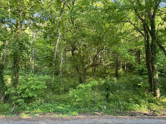 13.34 Acres of Recreational Land for Sale in Flat Rock, Alabama