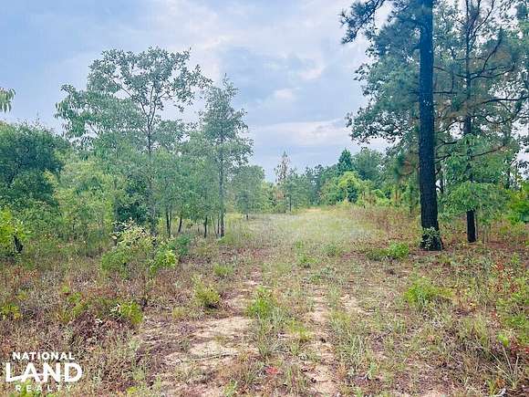 23.17 Acres of Recreational Land for Sale in Mauk, Georgia