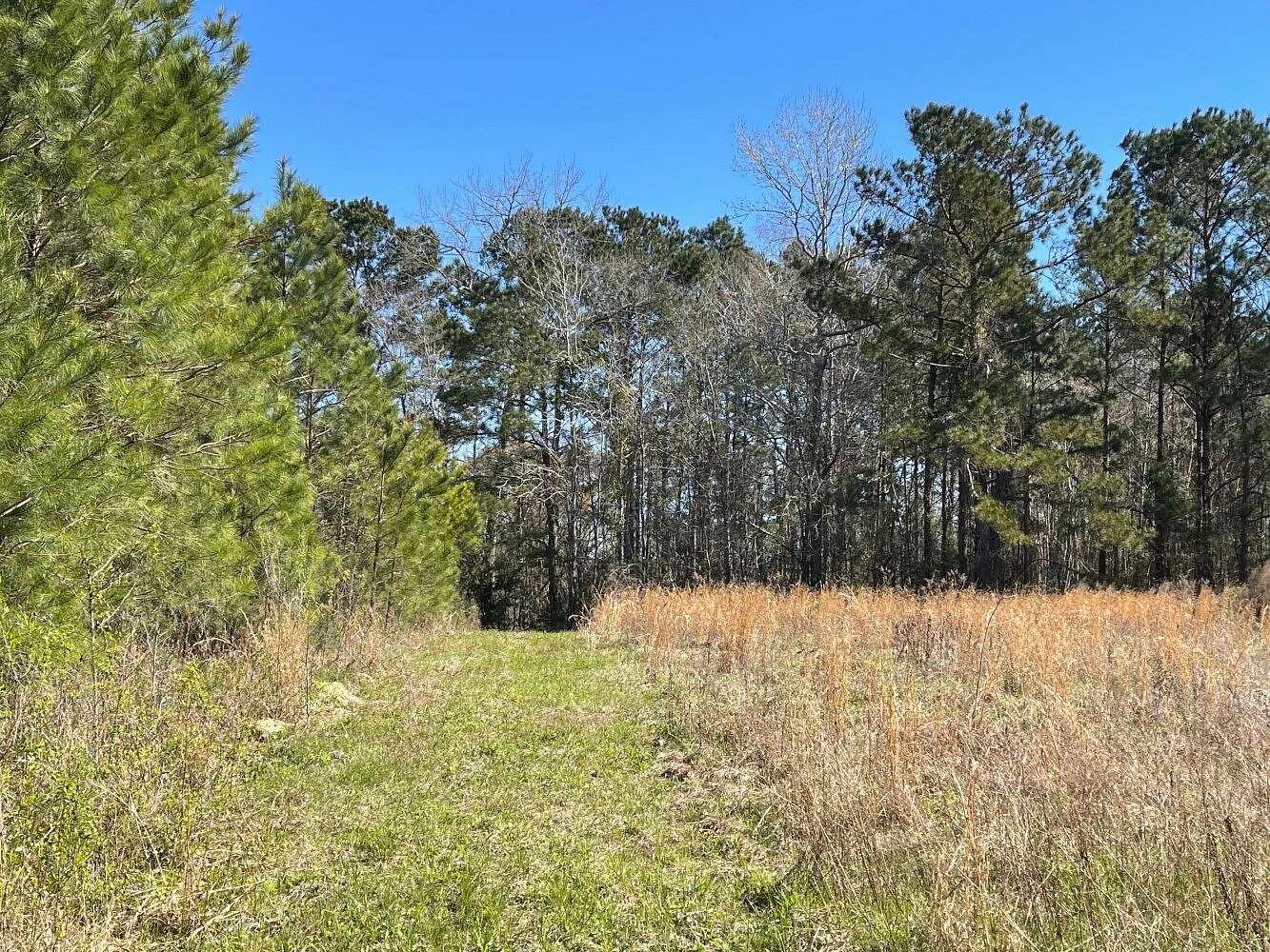 10.5 Acres of Recreational Land & Farm for Sale in Calabash, North Carolina