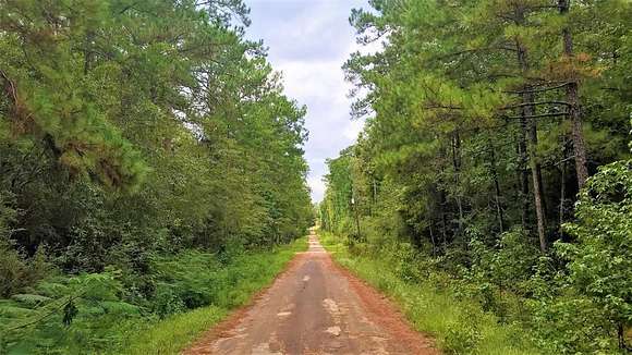 0.236 Acres of Land for Sale in Woodville, Texas