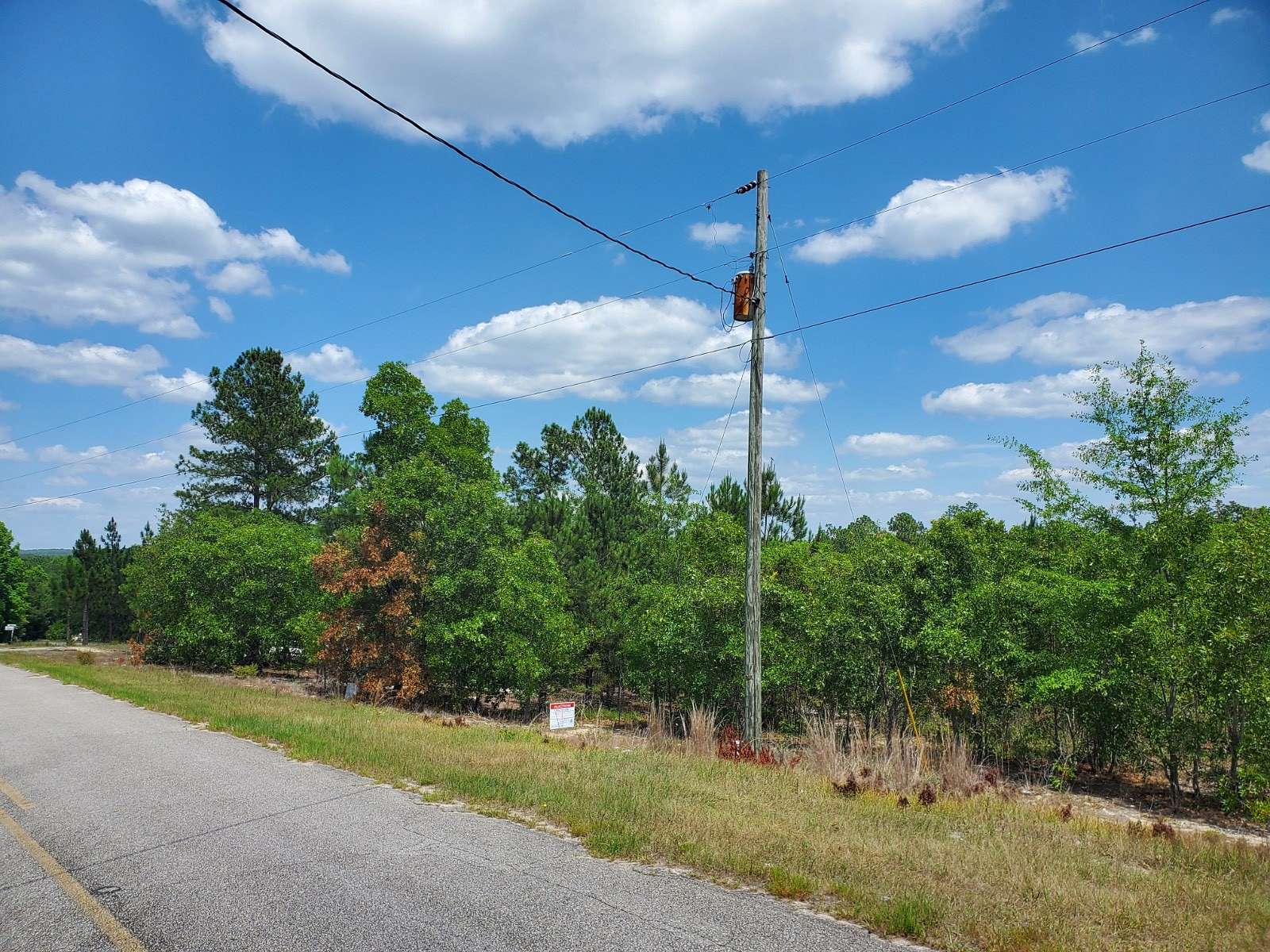 4.1 Acres of Residential Land for Auction in Silverstreet, South Carolina