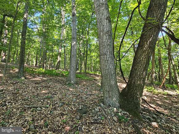 14.25 Acres of Recreational Land for Auction in Mercersburg, Pennsylvania