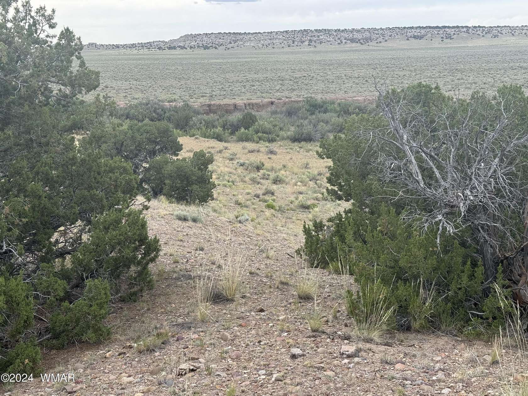 39.1 Acres of Land for Sale in St. Johns, Arizona