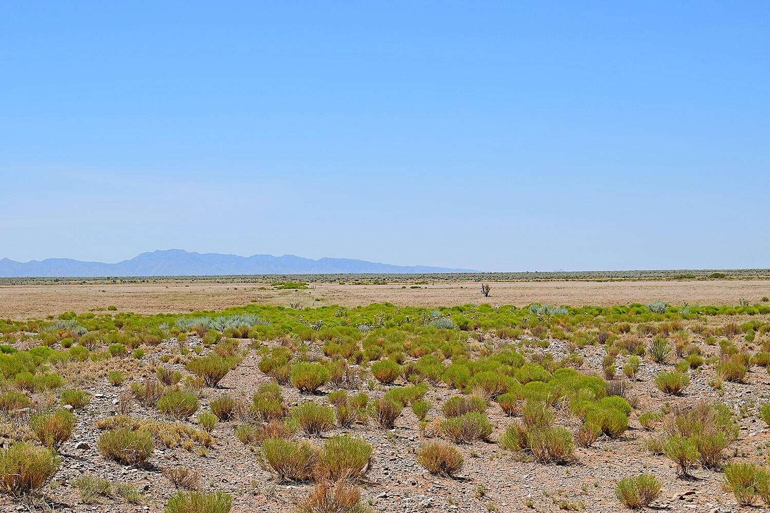 2.5 Acres of Land for Sale in Los Lunas, New Mexico