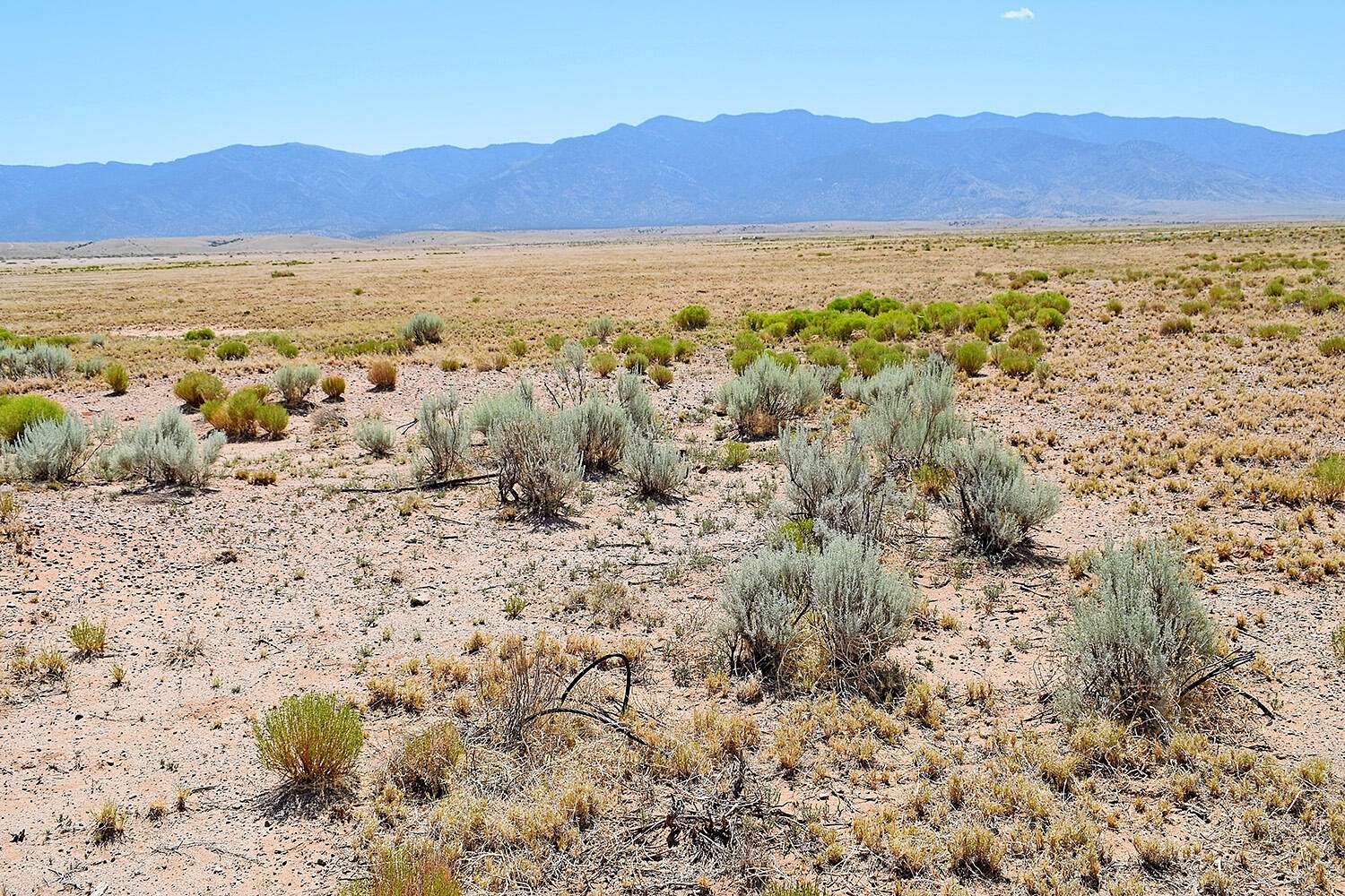 2.5 Acres of Land for Sale in Los Lunas, New Mexico