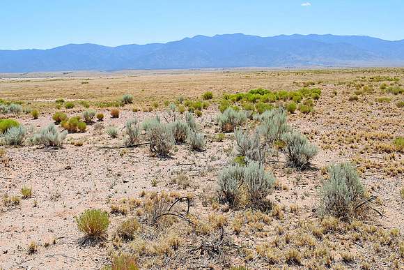 2.5 Acres of Land for Sale in Los Lunas, New Mexico