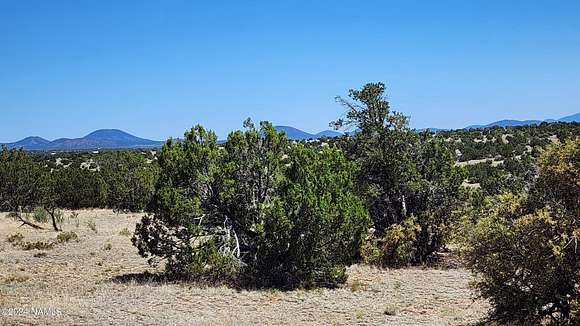 40.02 Acres of Recreational Land for Sale in Williams, Arizona