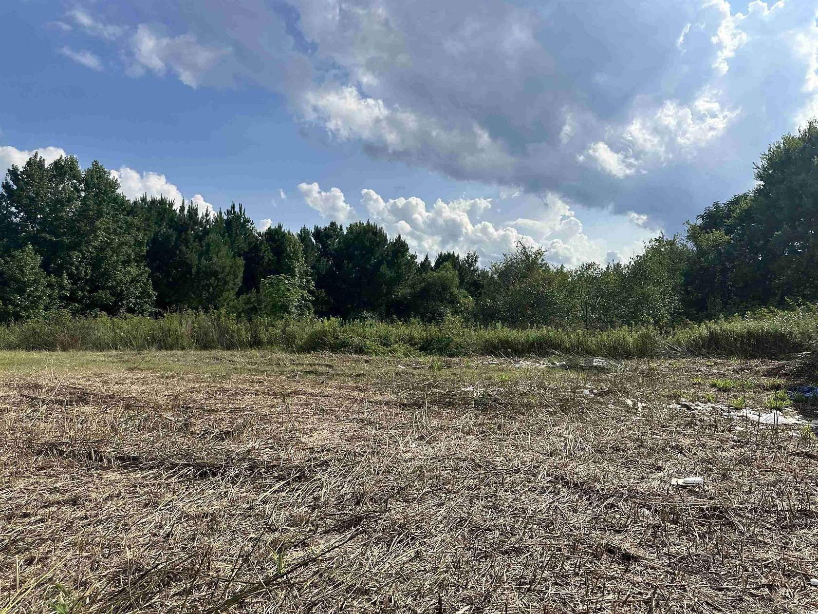 14.2 Acres of Land for Sale in Bennettsville, South Carolina