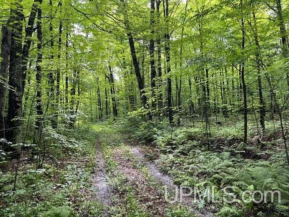 40 Acres of Recreational Land for Sale in Crystal Falls, Michigan