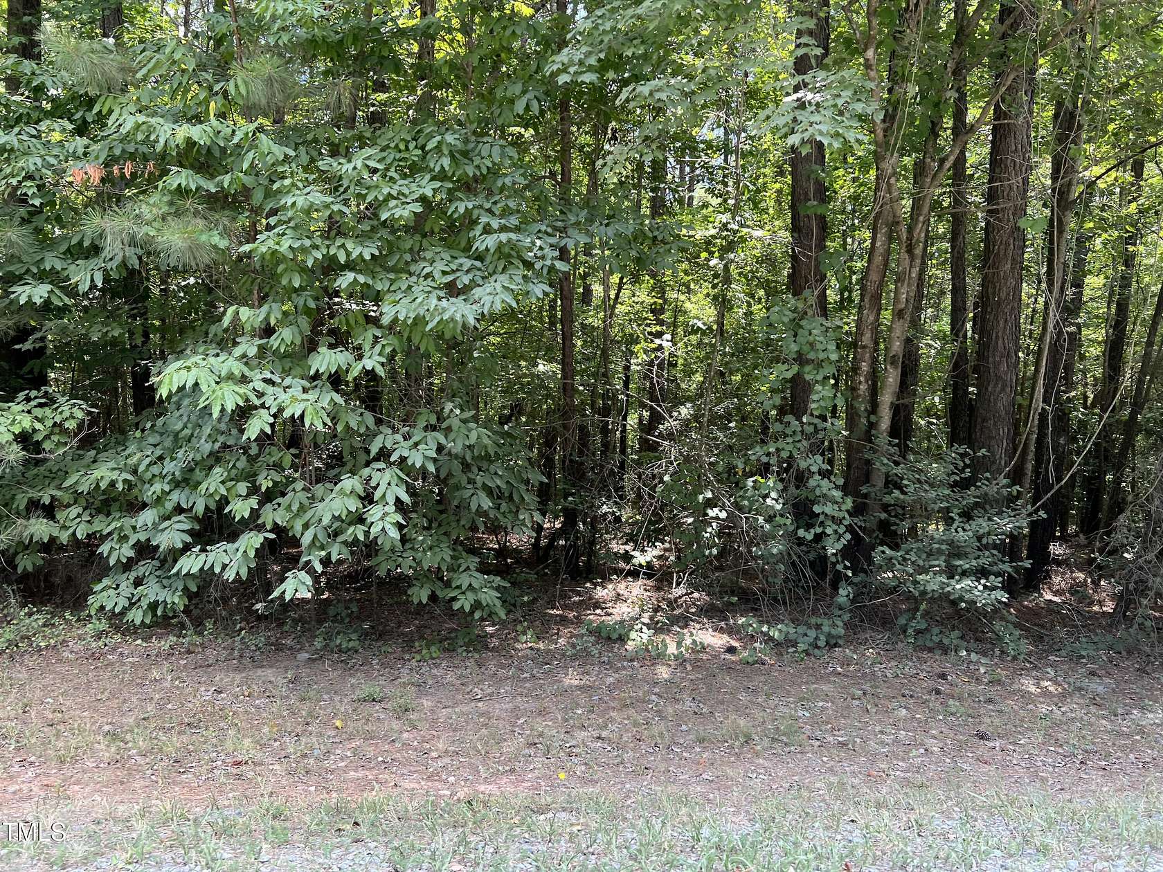 11 Acres of Land for Sale in Star, North Carolina