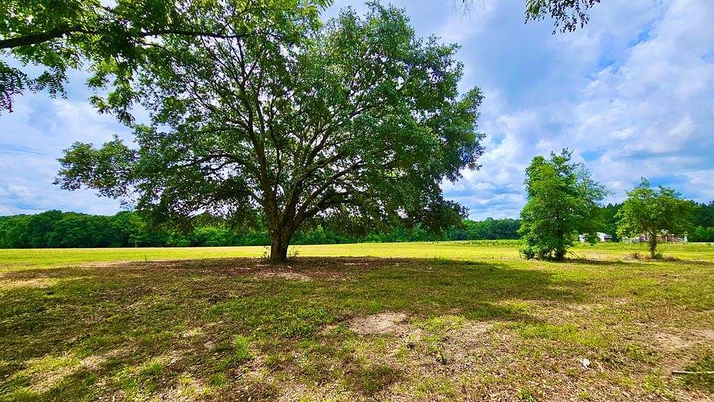 10 Acres of Recreational Land for Sale in Geneva, Alabama