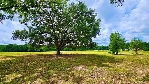10 Acres of Recreational Land for Sale in Geneva, Alabama