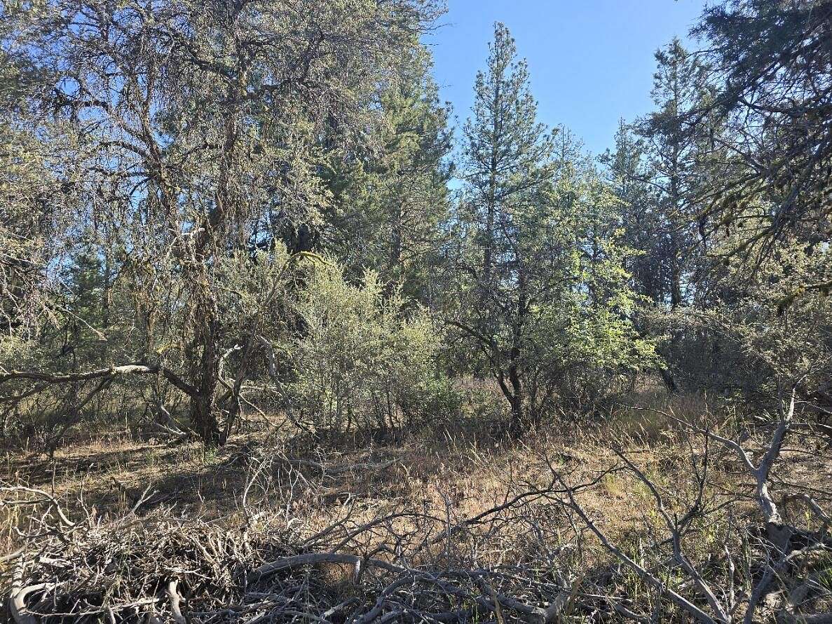 2.46 Acres of Residential Land for Sale in Bonanza, Oregon