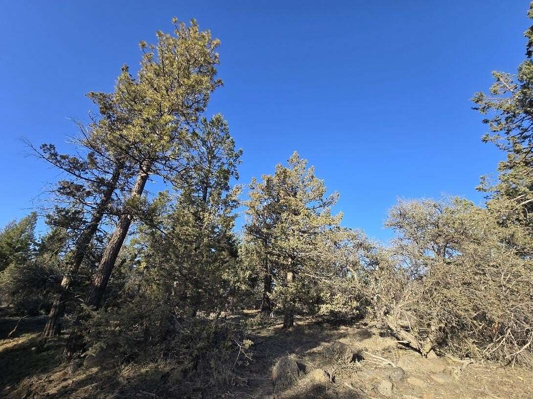 2.46 Acres of Residential Land for Sale in Bonanza, Oregon