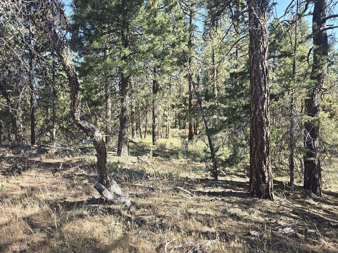 2.46 Acres of Residential Land for Sale in Bonanza, Oregon