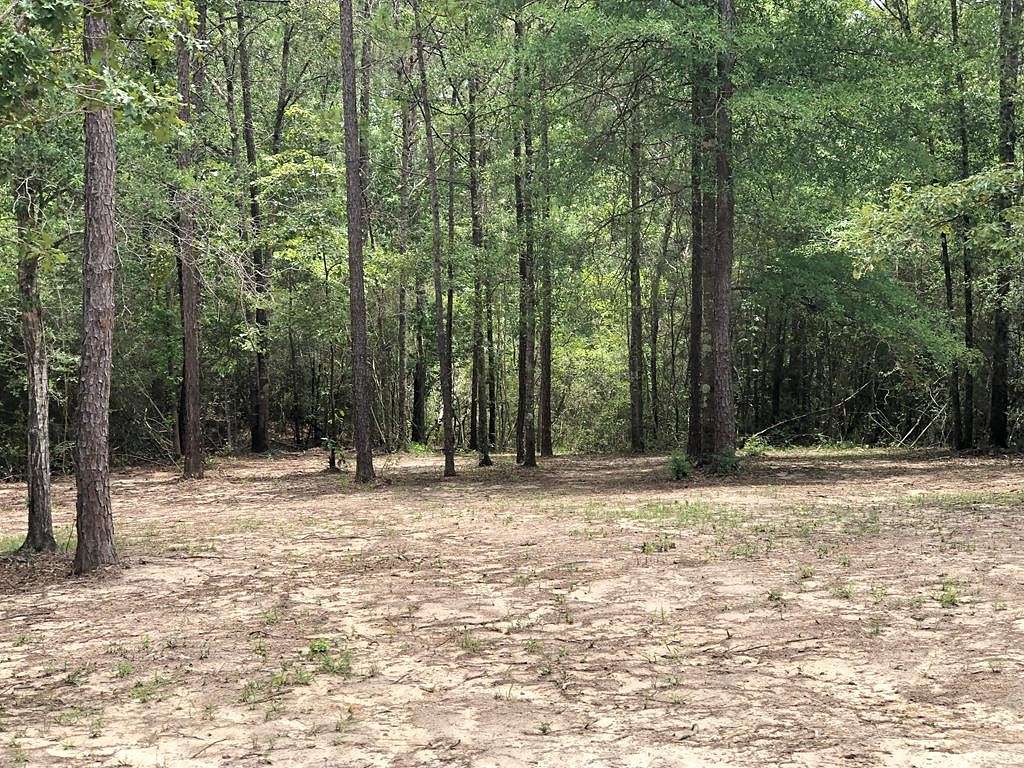 12.58 Acres of Recreational Land for Sale in Poplarville, Mississippi