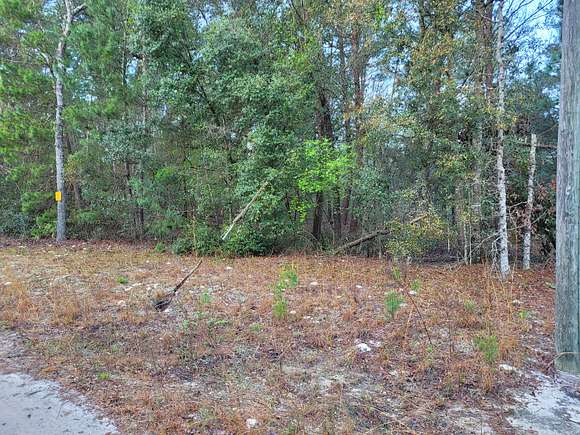 0.34 Acres of Residential Land for Sale in Keystone Heights, Florida