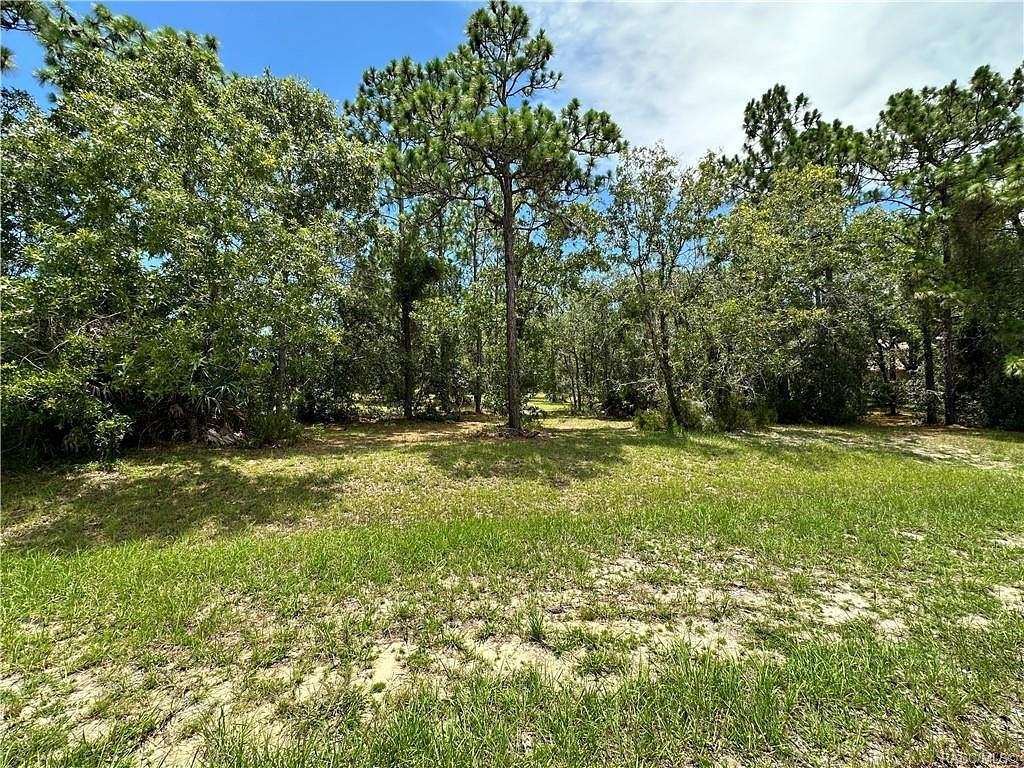 0.99 Acres of Residential Land for Sale in Lecanto, Florida