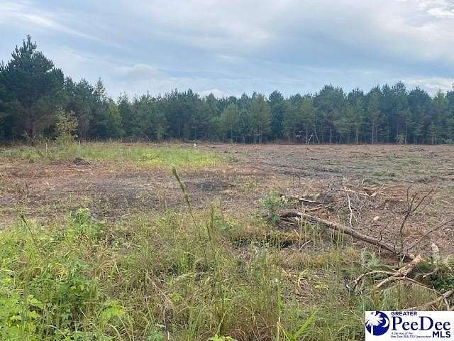 1 Acre of Residential Land for Sale in Bennettsville, South Carolina