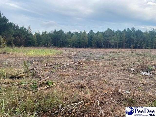 1 Acre of Land for Sale in Bennettsville, South Carolina
