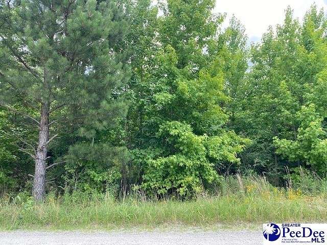 1 Acres of Residential Land for Sale in Bennettsville, South Carolina