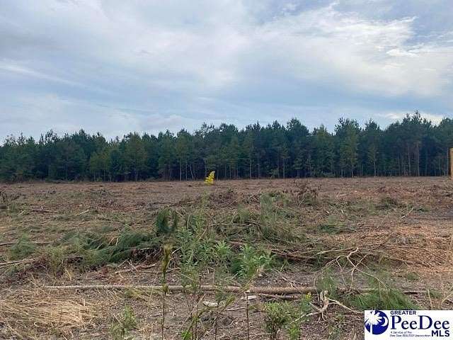 1 Acre of Land for Sale in Bennettsville, South Carolina
