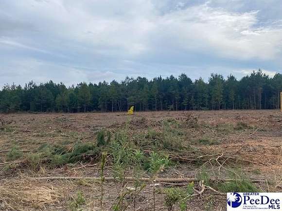 1 Acre of Residential Land for Sale in Bennettsville, South Carolina