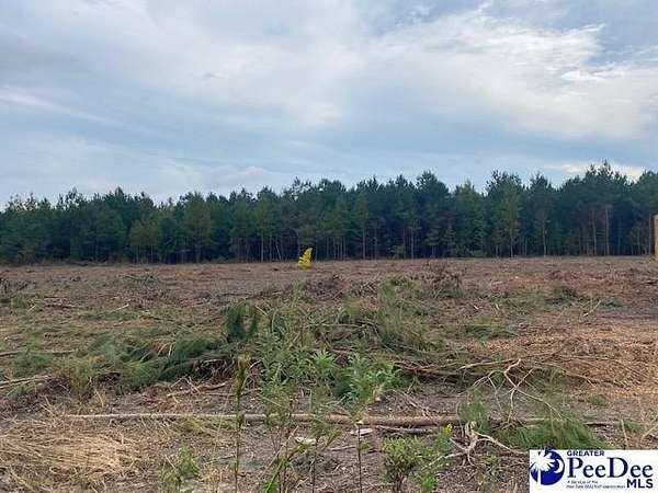 1 Acre of Land for Sale in Bennettsville, South Carolina