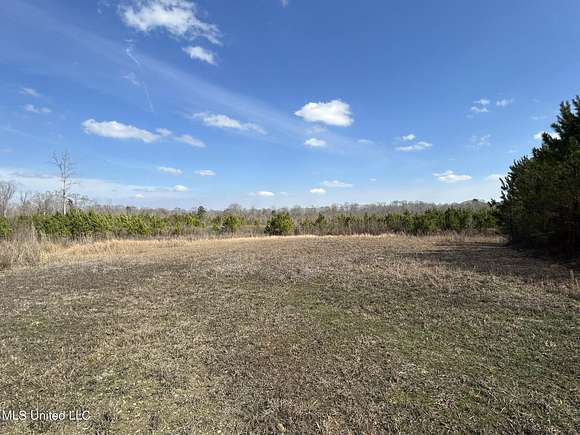 165 Acres of Recreational Land for Sale in Forest, Mississippi