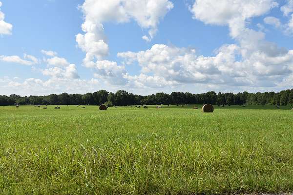 63.5 Acres of Land for Sale in Fayetteville, Tennessee