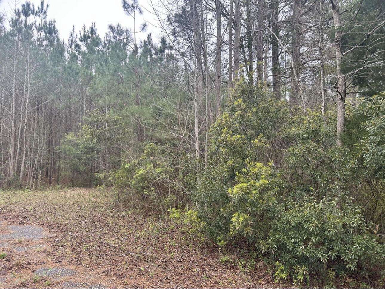 1.15 Acres of Residential Land for Sale in Ridgeville, South Carolina