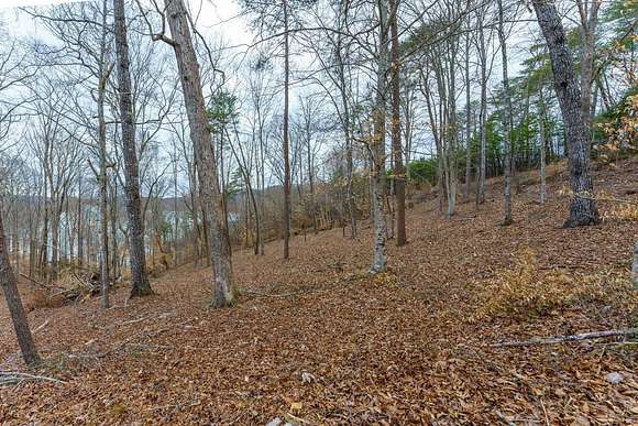 1.3 Acres of Land for Sale in Sharps Chapel, Tennessee