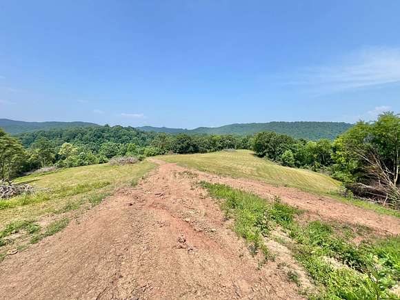 121.3 Acres of Land for Auction in Heaters, West Virginia