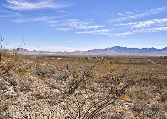 52.66 Acres of Land for Sale in Portal, Arizona