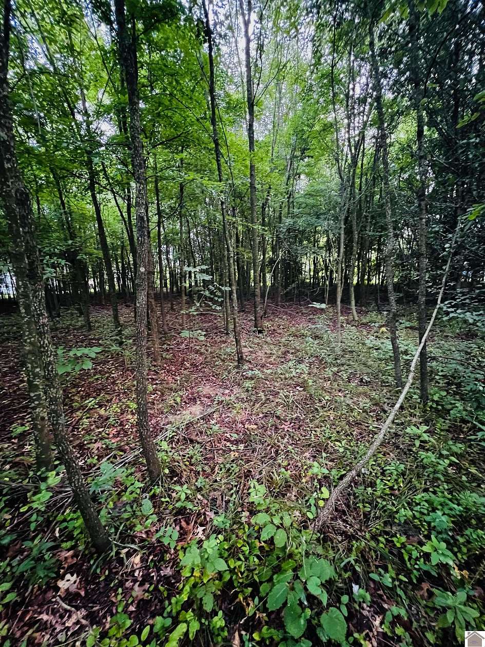 1 Acre of Residential Land for Sale in Ledbetter, Kentucky