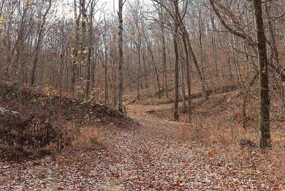 11.43 Acres of Land for Sale in Mountain View, Arkansas