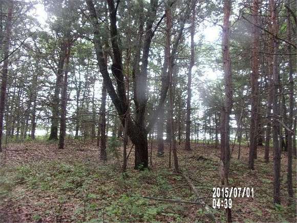 12.19 Acres of Land for Sale in East Bethel, Minnesota