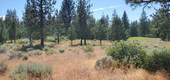 0.26 Acres of Residential Land for Sale in Weed, California