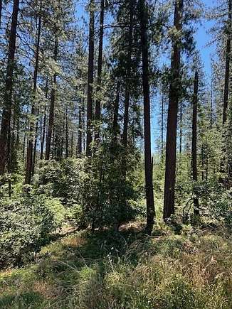 1.52 Acres of Residential Land for Sale in Avery, California
