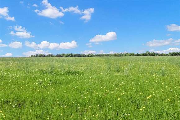 52 Acres of Agricultural Land for Sale in Blue Ridge, Texas