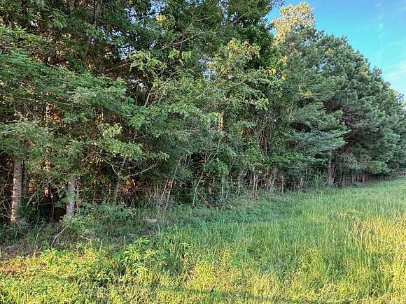 30 Acres of Recreational Land for Sale in Prattsville, Arkansas