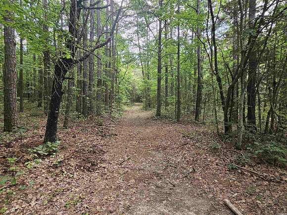 39.45 Acres of Recreational Land for Sale in Leslie, Arkansas